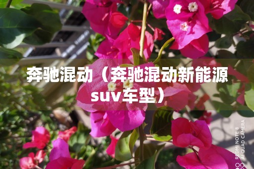 奔驰混动（奔驰混动新能源suv车型）