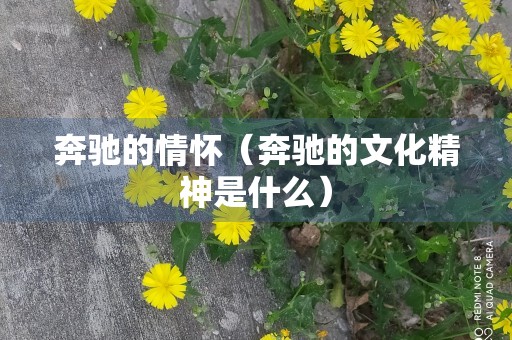 奔驰的情怀（奔驰的文化精神是什么）