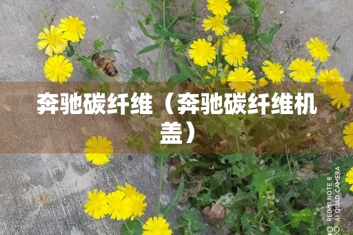 奔驰碳纤维（奔驰碳纤维机盖）