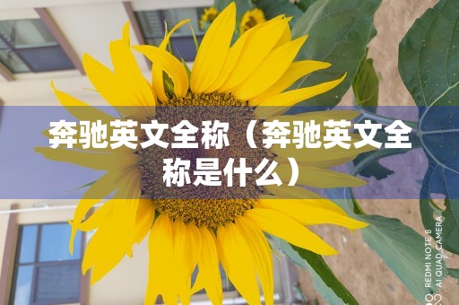 奔驰英文全称（奔驰英文全称是什么）