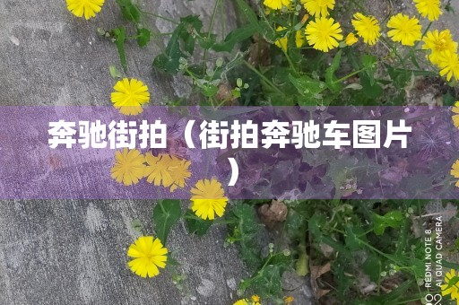 奔驰街拍（街拍奔驰车图片）