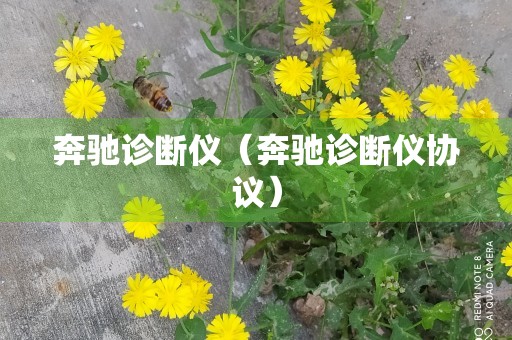 奔驰诊断仪（奔驰诊断仪协议）