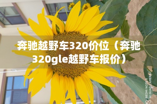 奔驰越野车320价位（奔驰320gle越野车报价）