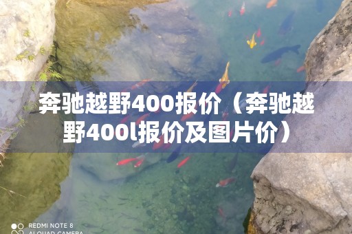 奔驰越野400报价（奔驰越野400l报价及图片价）