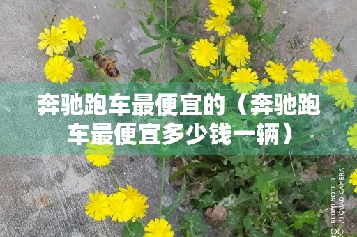 奔驰跑车最便宜的（奔驰跑车最便宜多少钱一辆）