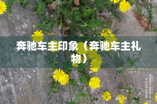 奔驰车主印象（奔驰车主礼物）