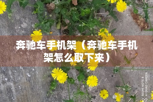 奔驰车手机架（奔驰车手机架怎么取下来）