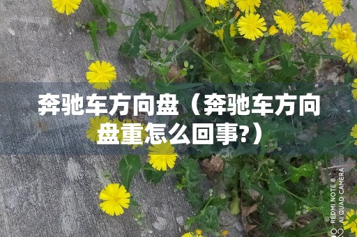 奔驰车方向盘（奔驰车方向盘重怎么回事?）