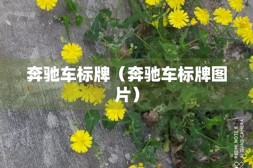 奔驰车标牌（奔驰车标牌图片）