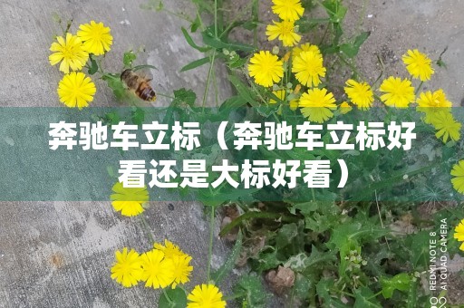 奔驰车立标（奔驰车立标好看还是大标好看）