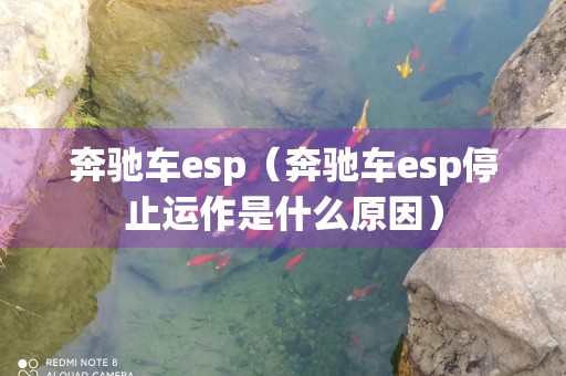 奔驰车esp（奔驰车esp停止运作是什么原因）