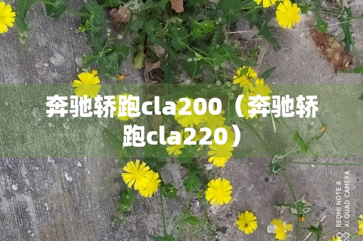 奔驰轿跑cla200（奔驰轿跑cla220）