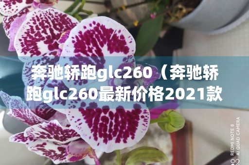 奔驰轿跑glc260（奔驰轿跑glc260最新价格2021款图片）