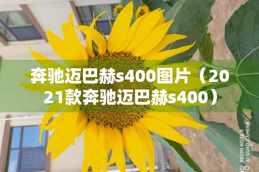 奔驰迈巴赫s400图片（2021款奔驰迈巴赫s400）