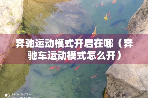 奔驰运动模式开启在哪（奔驰车运动模式怎么开）