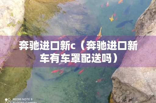 奔驰进口新c（奔驰进口新车有车罩配送吗）