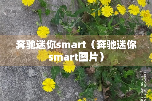 奔驰迷你smart（奔驰迷你smart图片）