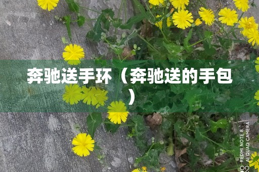 奔驰送手环（奔驰送的手包）