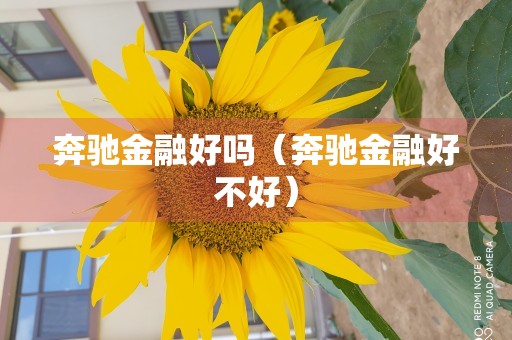 奔驰金融好吗（奔驰金融好不好）