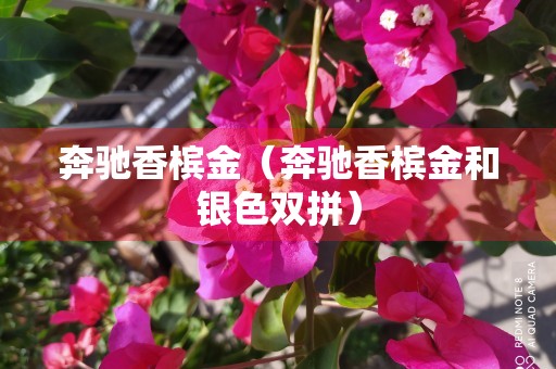 奔驰香槟金（奔驰香槟金和银色双拼）