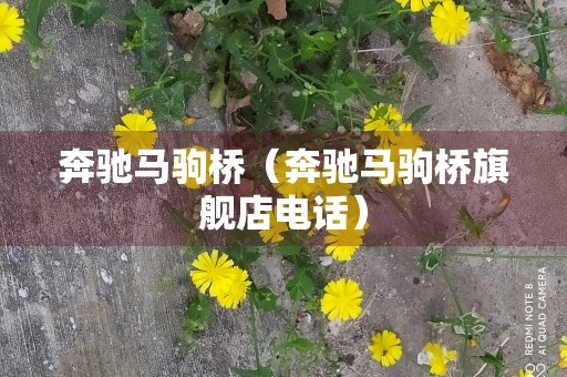 奔驰马驹桥（奔驰马驹桥旗舰店电话）