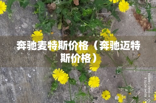 奔驰麦特斯价格（奔驰迈特斯价格）