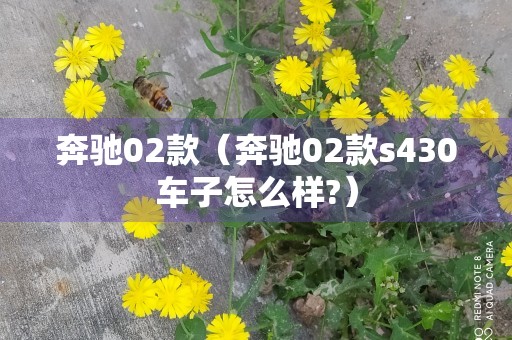 奔驰02款（奔驰02款s430车子怎么样?）