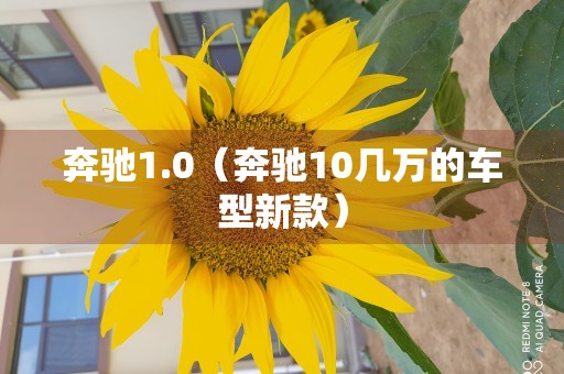 奔驰1.0（奔驰10几万的车型新款）