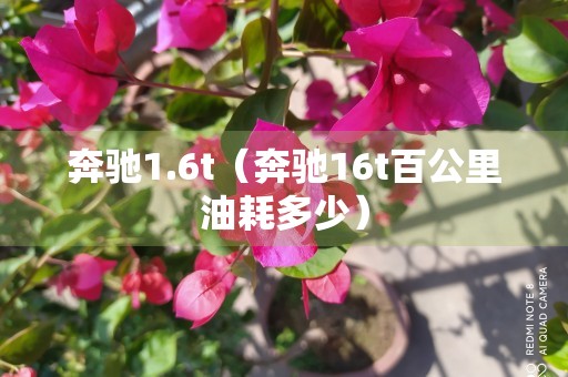 奔驰1.6t（奔驰16t百公里油耗多少）