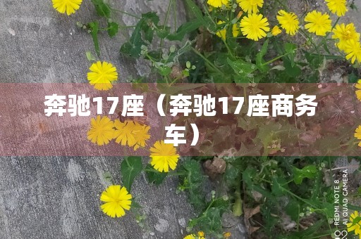 奔驰17座（奔驰17座商务车）