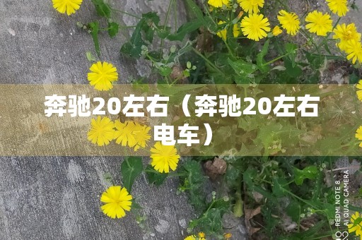 奔驰20左右（奔驰20左右电车）