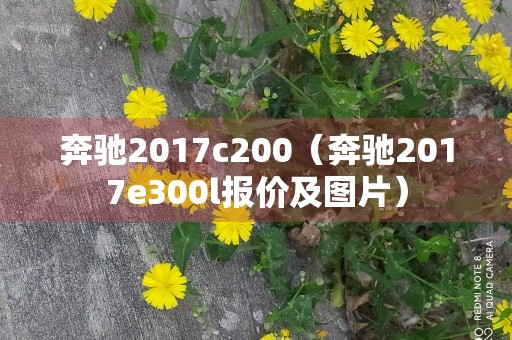 奔驰2017c200（奔驰2017e300l报价及图片）