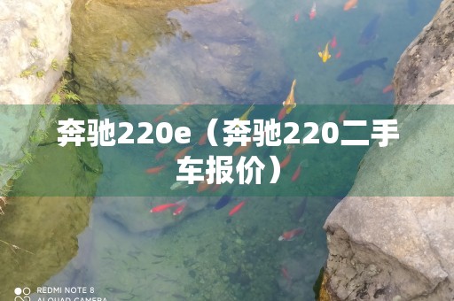 奔驰220e（奔驰220二手车报价）