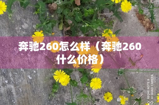 奔驰260怎么样（奔驰260什么价格）