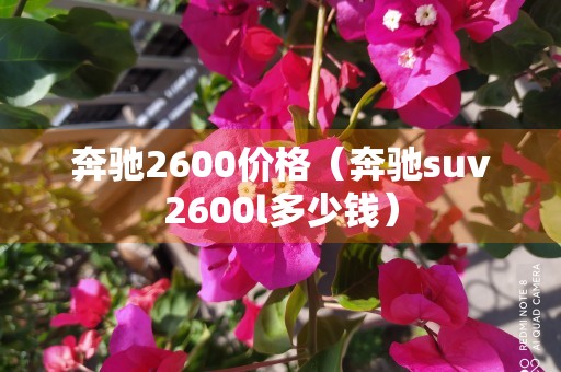 奔驰2600价格（奔驰suv2600l多少钱）