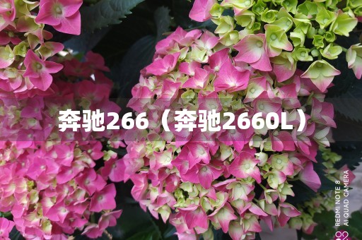 奔驰266（奔驰2660L）