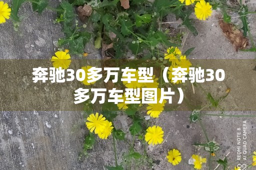 奔驰30多万车型（奔驰30多万车型图片）