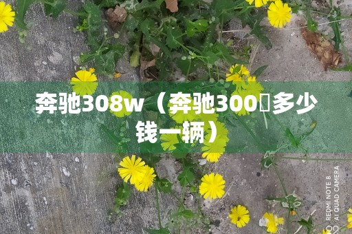 奔驰308w（奔驰300乚多少钱一辆）