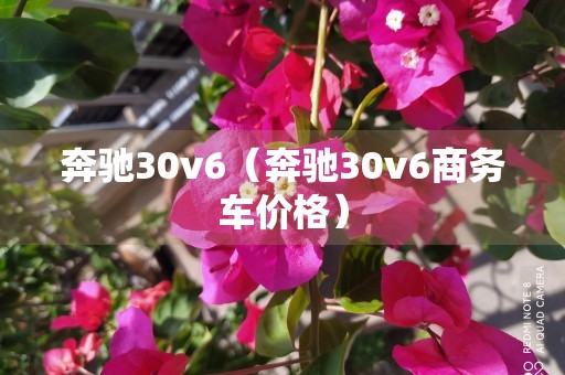 奔驰30v6（奔驰30v6商务车价格）