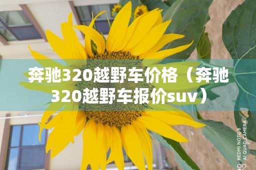 奔驰320越野车价格（奔驰320越野车报价suv）