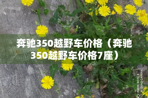 奔驰350越野车价格（奔驰350越野车价格7座）