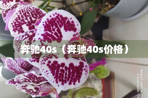 奔驰40s（奔驰40s价格）