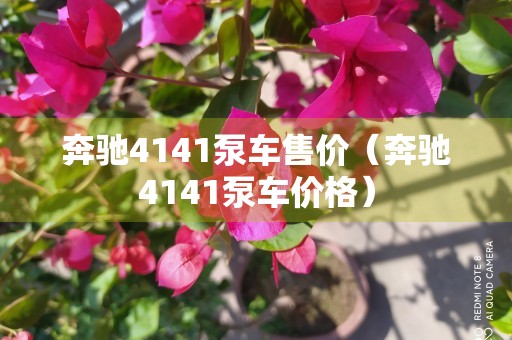 奔驰4141泵车售价（奔驰4141泵车价格）