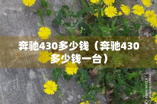 奔驰430多少钱（奔驰430多少钱一台）