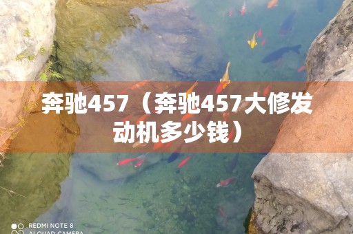 奔驰457（奔驰457大修发动机多少钱）