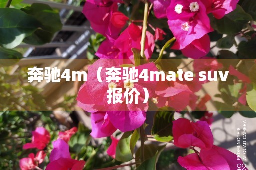 奔驰4m（奔驰4mate suv报价）