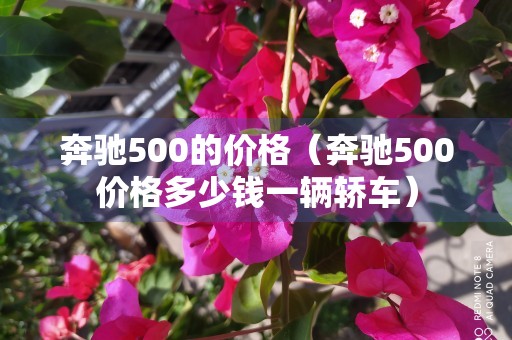 奔驰500的价格（奔驰500价格多少钱一辆轿车）