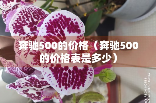 奔驰500的价格（奔驰500的价格表是多少）