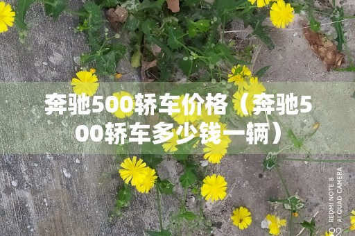 奔驰500轿车价格（奔驰500轿车多少钱一辆）