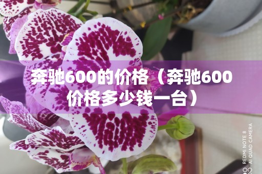 奔驰600的价格（奔驰600价格多少钱一台）